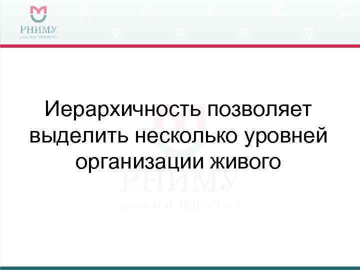  Иерархичность позволяет выделить несколько уровней  организации живого 
