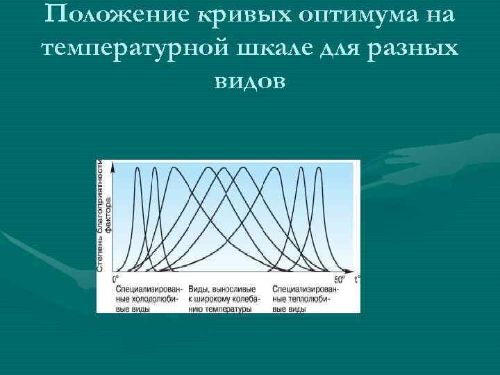 Положение кривых оптимума на температурной шкале для разных видов 