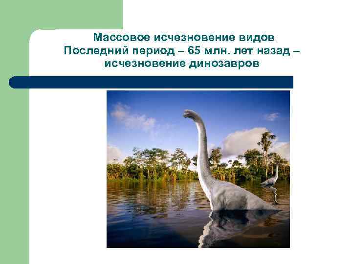  Массовое исчезновение видов Последний период – 65 млн. лет назад – исчезновение динозавров