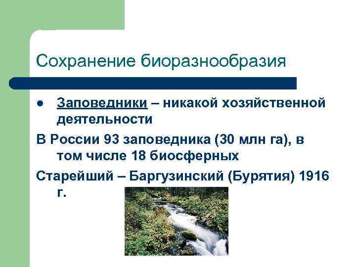 Сохранение биоразнообразия l Заповедники – никакой хозяйственной деятельности В России 93 заповедника (30 млн