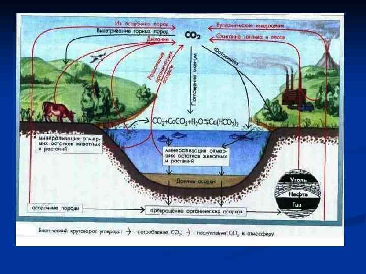 n Баланс атмосферного углерода определяется  биогеохимическими круговоротами, в каждом  из которых осуществляются