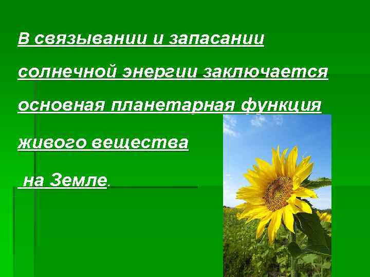 В связывании и запасании солнечной энергии заключается основная планетарная функция живого вещества на Земле.