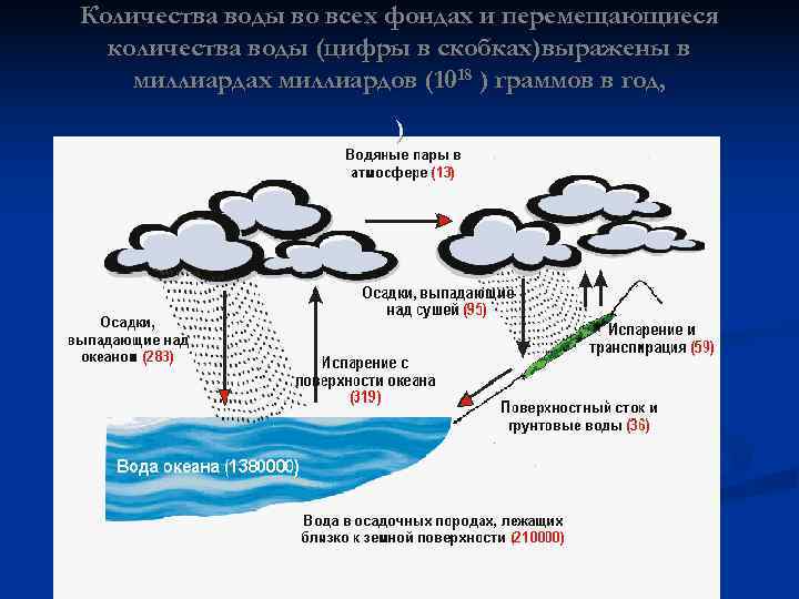 Количества воды во всех фондах и перемещающиеся количества воды (цифры в скобках)выражены в миллиардах