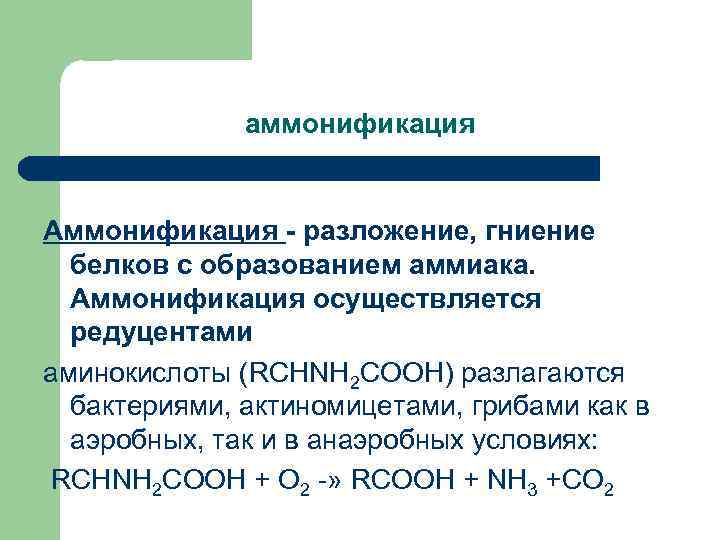  аммонификация Аммонификация - разложение, гниение белков с образованием аммиака. Аммонификация осуществляется редуцентами аминокислоты