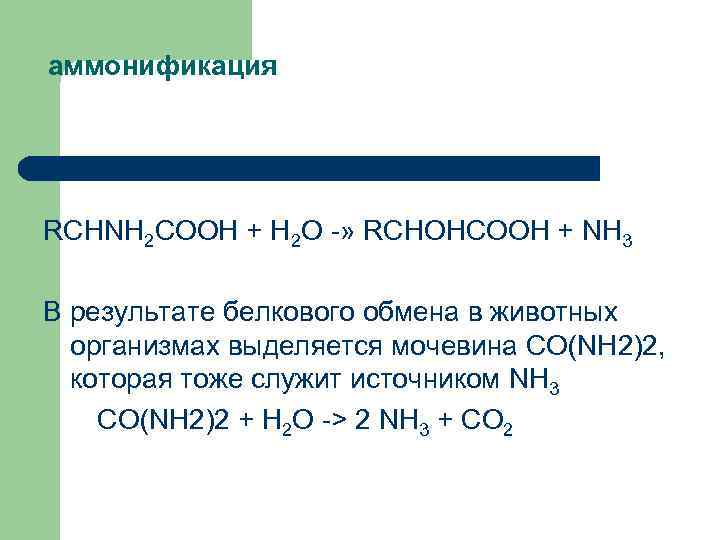 аммонификация RCHNH 2 COOH + Н 2 О » RCHOHCOOH + NH 3 В