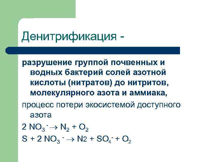 Денитрификация разрушение группой почвенных и водных бактерий солей азотной кислоты (нитратов) до нитритов, молекулярного