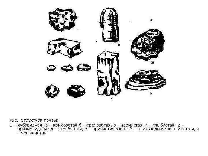 Рис. Структура почвы: 1 – кубовидная: а – комковатая б – ореховатая, в –