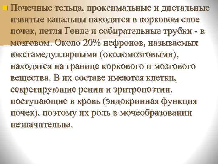   Кровоснабжение почек Почечная артерия  сегментарные артерии   междолевые артерии 