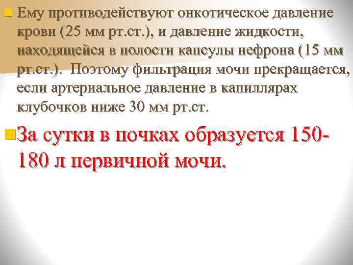 n Нисходящее и восходящее колена образуют  поворотно-противоточную систему. Из просвета  нисходящего колена