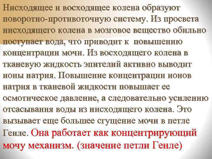 n Удельный вес (относительная плотность)  мочи зависит от количества принятой  жидкости, в