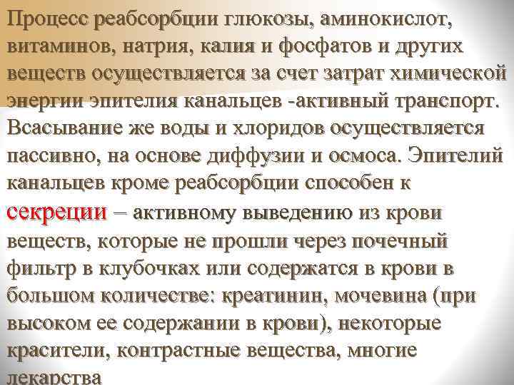     Мочеточник – трубка длиной  около 30 см. От 