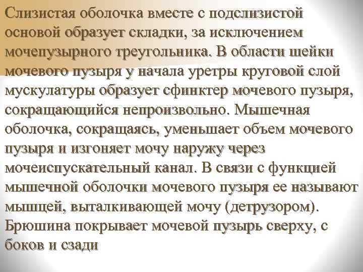 n Одновременно от спинального центра  мочеиспускания возбуждение передается в кору  большого мозга,