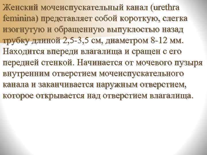 n Кора большого мозга может влиять и гуморально  через гипоталамус, нейросекреторные ядра 