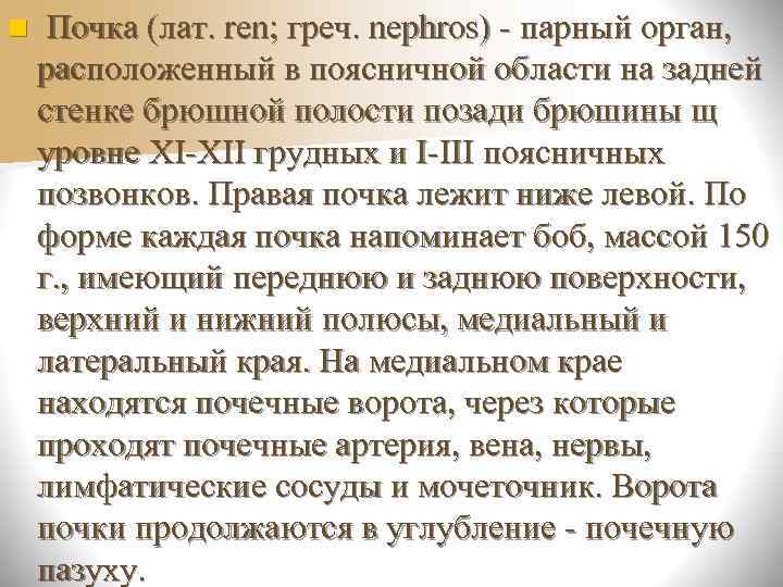 n Почка (лат. ren; греч. nephros) - парный орган, расположенный в поясничной области на