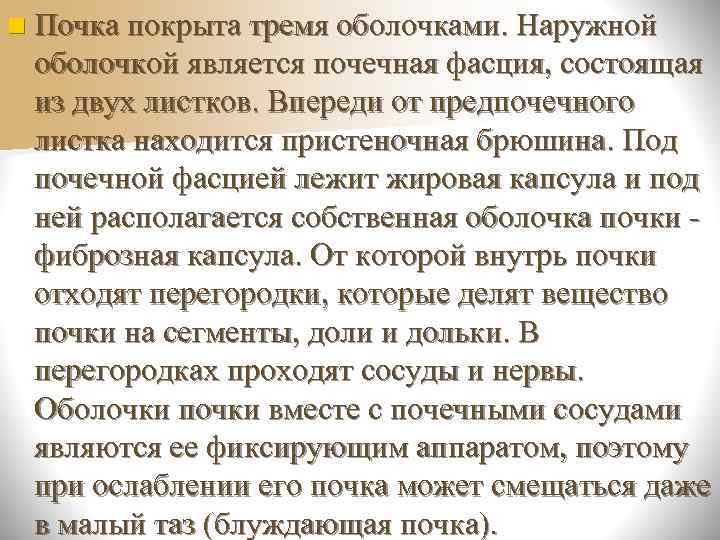    Оболочки почки Почка имеет несколько оболочек. 