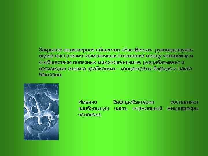 Закрытое акционерное общество «Био-Веста» , руководствуясь идеей построения гармоничных отношений между человеком и сообществом