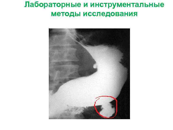 Лабораторные и инструментальные методы исследования 