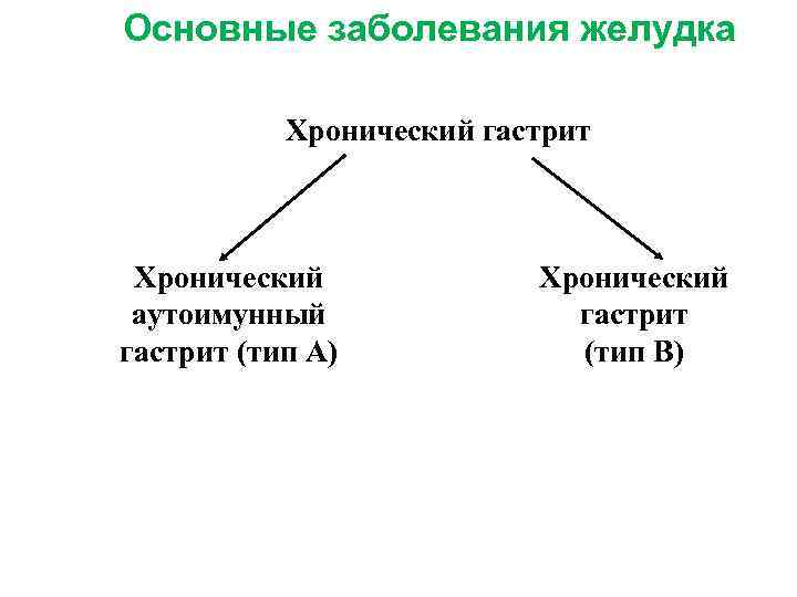 Основные заболевания желудка Хронический гастрит Хронический аутоимунный гастрит (тип А) (тип B) 