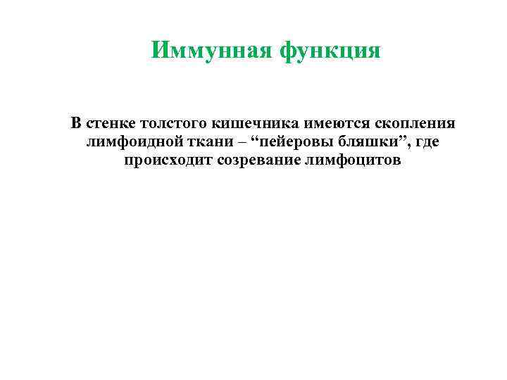  Иммунная функция В стенке толстого кишечника имеются скопления лимфоидной ткани – “пейеровы бляшки”,