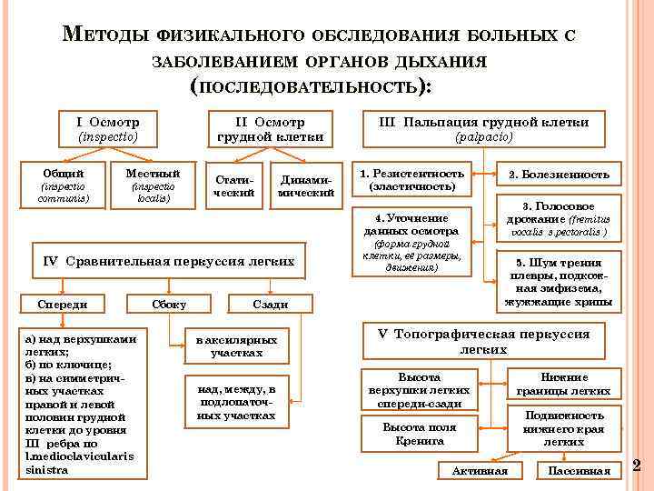  МЕТОДЫ ФИЗИКАЛЬНОГО ОБСЛЕДОВАНИЯ БОЛЬНЫХ С ЗАБОЛЕВАНИЕМ ОРГАНОВ ДЫХАНИЯ (ПОСЛЕДОВАТЕЛЬНОСТЬ): І Осмотр ІІІ Пальпация