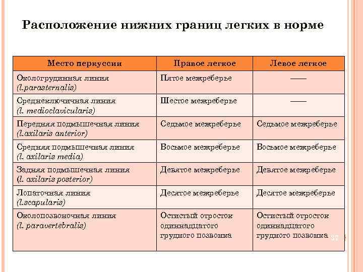  Расположение нижних границ легких в норме Место перкуссии Правое легкое Левое легкое Окологрудинная