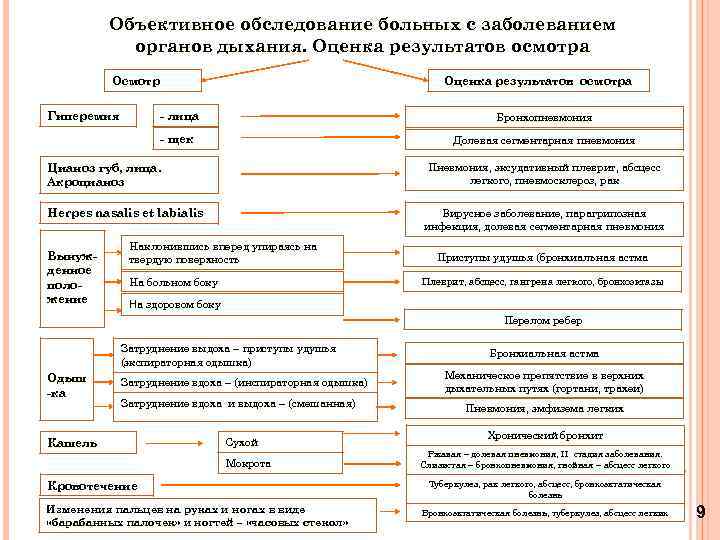 Объективное обследование пациента алгоритм