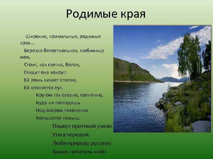  Родимые края Широкие, привольные, родимые края… Березка белоствольная, любимица моя, Стоит, как свечка,