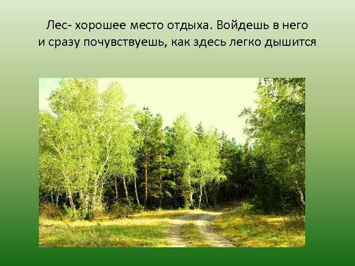  Лес- хорошее место отдыха. Войдешь в него и сразу почувствуешь, как здесь легко