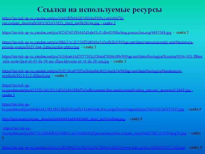     Ссылки на используемые ресурсы https: //im-tub-ap-ru. yandex. net/pic/3345 f 8