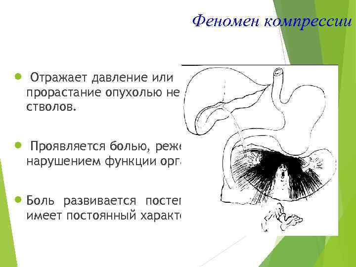  Феномен компрессии n Отражает давление или прорастание опухолью нервных стволов. n Проявляется болью,