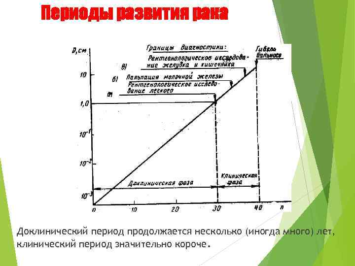  Периоды развития рака Доклинический период продолжается несколько (иногда много) лет, клинический период значительно