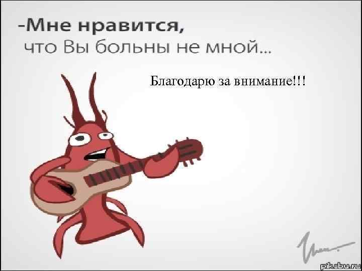 Благодарю за внимание!!! 