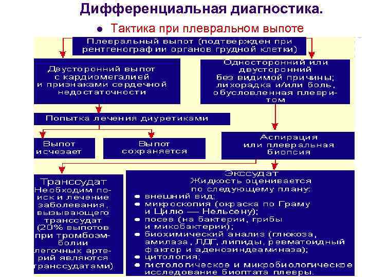 Дифференциальная диагностика.  l  Тактика при плевральном выпоте 