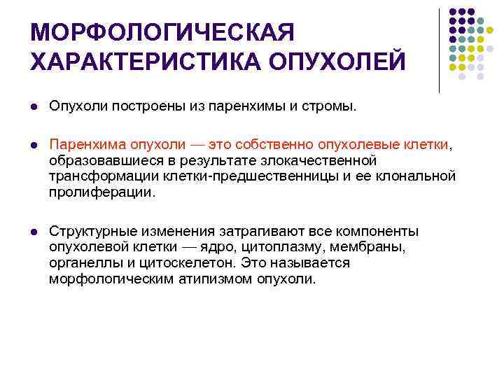 МОРФОЛОГИЧЕСКАЯ ХАРАКТЕРИСТИКА ОПУХОЛЕЙ l  Опухоли построены из паренхимы и стромы.  l 