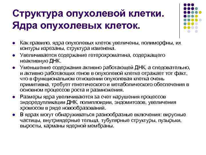 Структура опухолевой клетки.  Ядра опухолевых клеток.  l  Как правило, ядра опухолевых