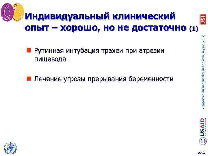 Индивидуальный клинический опыт – хорошо, но не достаточно (1) Эффективная перинатальная помощь и уход