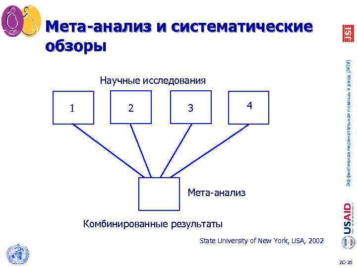 Мета-анализ и систематические обзоры Эффективная перинатальная помощь и уход (ЭПУ) Научные исследования 1 2