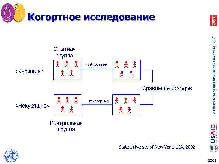  Когортное исследование Эффективная перинатальная помощь и уход (ЭПУ) Опытная группа Наблюдение «Курящие» Сравнение