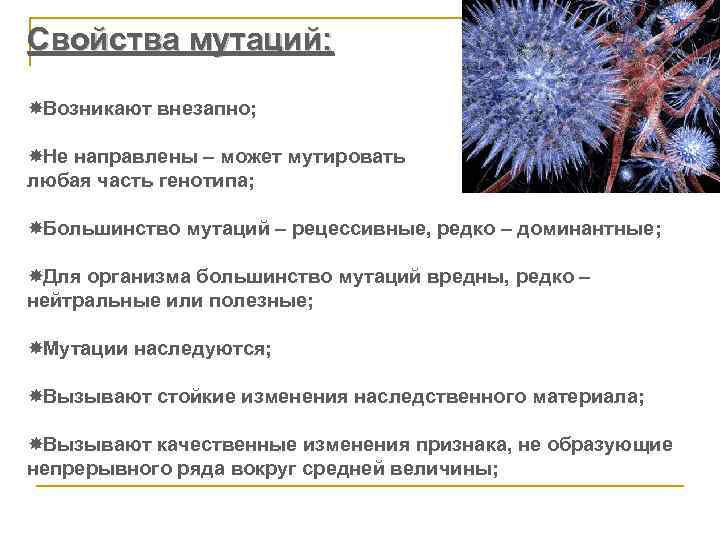 Свойства мутаций: Возникают внезапно; Не направлены – может мутировать любая часть генотипа; Большинство мутаций