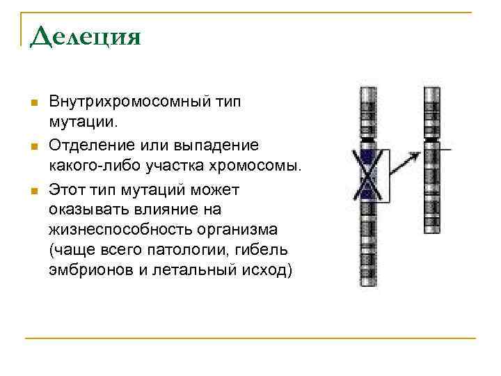 Делеция n Внутрихромосомный тип мутации. n Отделение или выпадение какого-либо участка хромосомы. n Этот