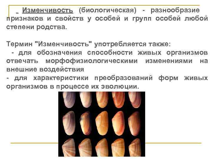  Изменчивость (биологическая) - разнообразие признаков и свойств у особей и групп особей любой