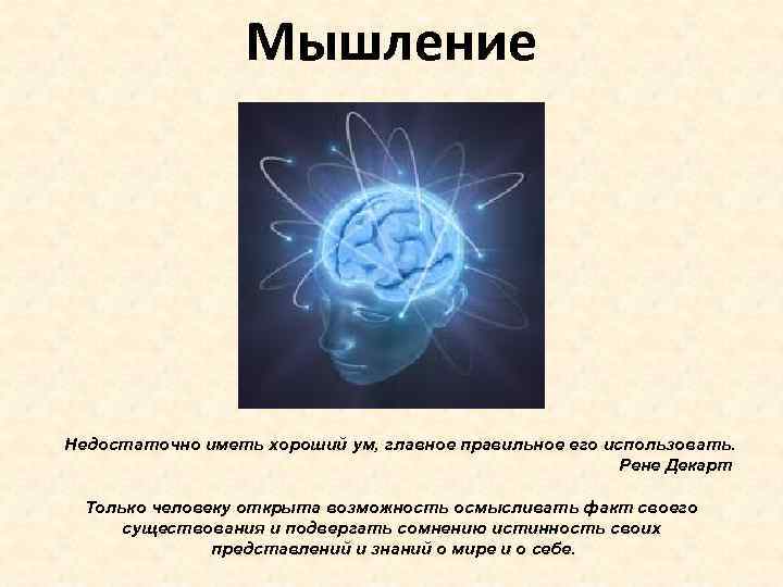  Мышление Недостаточно иметь хороший ум, главное правильное его использовать. Рене Декарт Только человеку