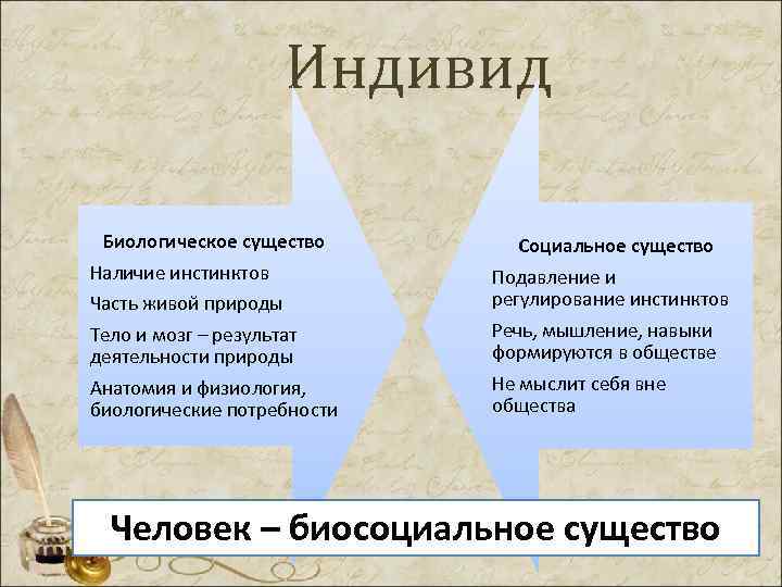  Индивид Биологическое существо Социальное существо Наличие инстинктов Подавление и Часть живой природы регулирование