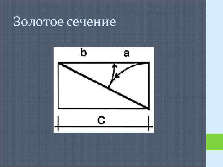 Золотое сечение Золотое сечение