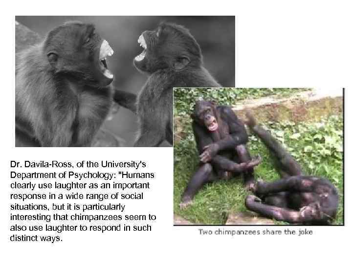 Dr. Davila-Ross, of the University's Department of Psychology: 