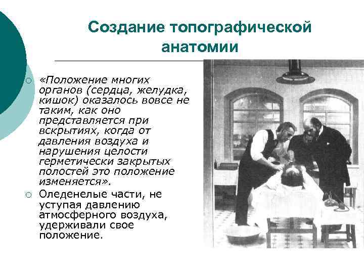  Создание топографической анатомии ¡ «Положение многих органов (сердца, желудка, кишок) оказалось вовсе не