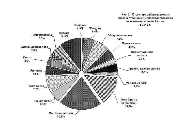     Основные понятия   Злокачественные опухоли:  • быстро растут,