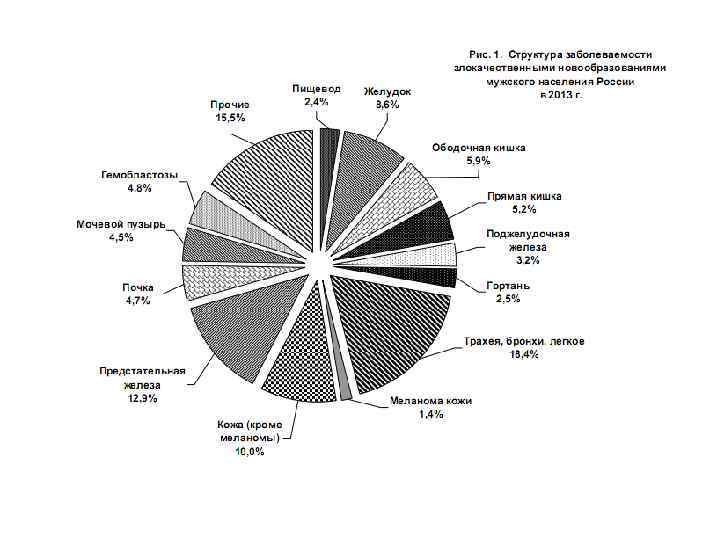    Основные понятия   Доброкачественные опухоли:  •  медленный рост,