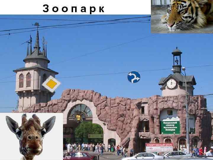 Зоопарк 