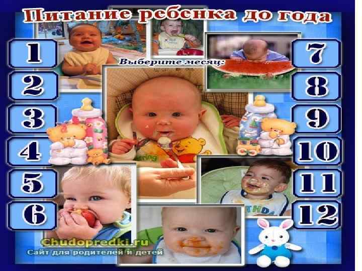 Цель программы: Оптимизация питания детей первого года жизни, как Цель программы: Оптимизация питания детей первого года жизни, как